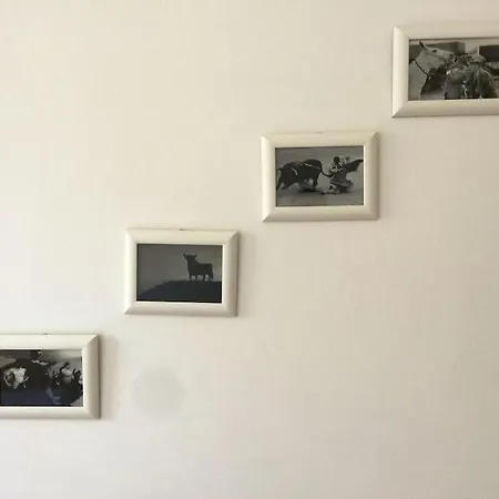 Casa Rosanna Comodo Per 5 Persone Centro * 트리에스테